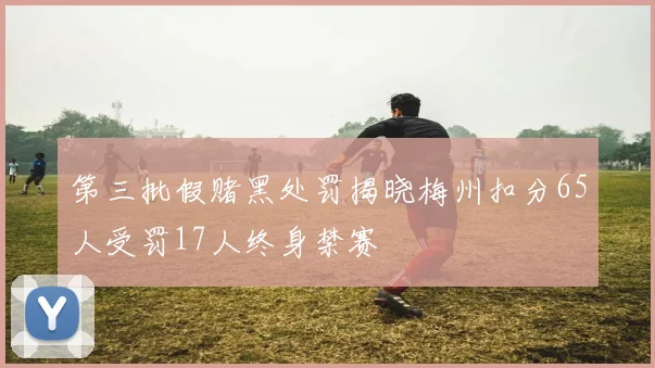 第三批假赌黑处罚揭晓梅州扣分65人受罚17人终身禁赛